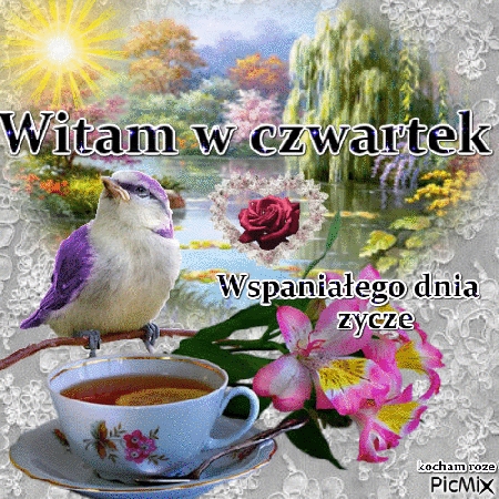 Ptaszek wita w czwartek wspaniałego dnia